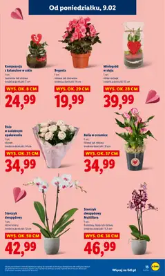 Lidl - gazetka promocyjna Oferta od poniedziałku od poniedziałku 09.02 do środy 11.02 - strona 15