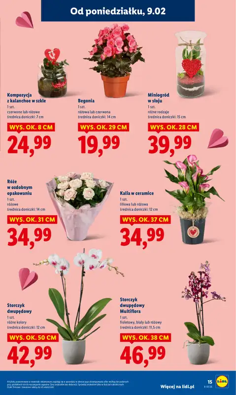 Lidl - gazetka promocyjna Oferta od poniedziałku od poniedziałku 09.02 do środy 11.02 - strona 15