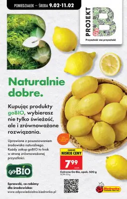 Biedronka - gazetka promocyjna Od poniedziałku od poniedziałku 09.02 do niedzieli 15.02 - strona 33