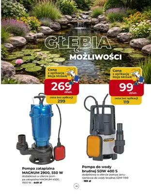 PSB Mrówka - gazetka promocyjna Gazetka od czwartku 12.02 do soboty 21.02 - strona 19