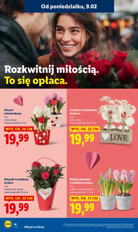 Lidl - gazetka promocyjna Oferta od poniedziałku od poniedziałku 09.02 do środy 11.02 - strona 14