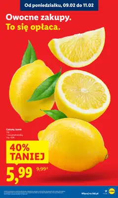 Lidl - gazetka promocyjna Oferta od poniedziałku od poniedziałku 09.02 do środy 11.02 - strona 17