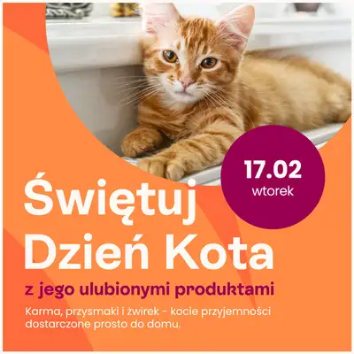 Frisco - gazetka promocyjna Gazetka od poniedziałku 09.02 do niedzieli 22.02 - strona 29