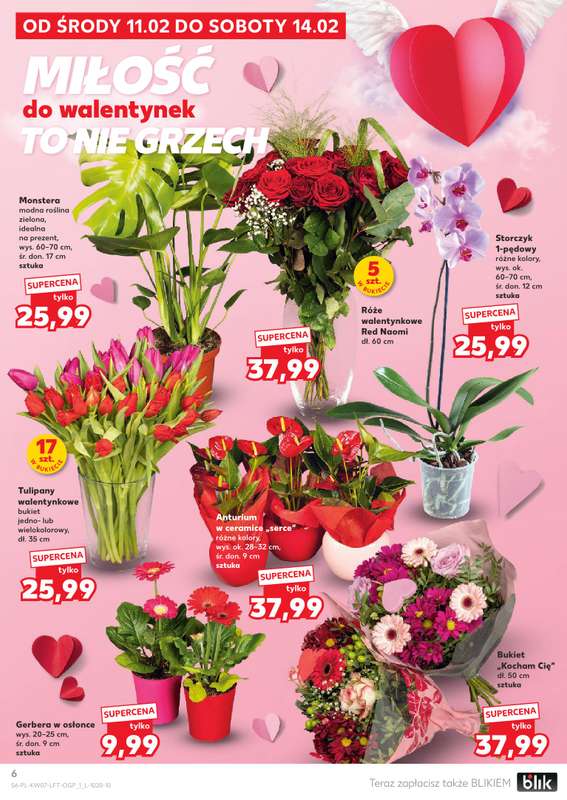 Kaufland - gazetka promocyjna Oferta Kaufland od środy 11.02 do środy 18.02 - strona 6
