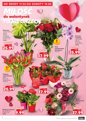 Kaufland - gazetka promocyjna Oferta Kaufland od środy 11.02 do środy 18.02 - strona 6