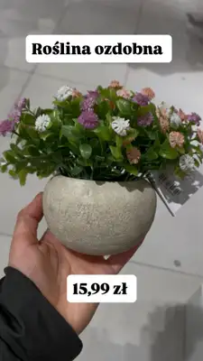 Sinsay - gazetka promocyjna Zakupowe Inspiracje w Sinsay od wtorku 10.02  - strona 4