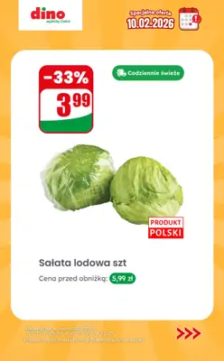 Dino - gazetka promocyjna Specjalna oferta na 10.02.2026 - promocje spoza gazetki od wtorku 10.02 do wtorku 10.02 - strona 3