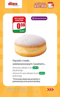 Dino - gazetka promocyjna Specjalna oferta na 10.02.2026 - promocje spoza gazetki od wtorku 10.02 do wtorku 10.02 - strona 10