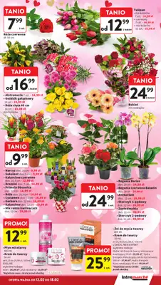 Intermarche - gazetka promocyjna Gazetka od czwartku 12.02 do środy 18.02 - strona 13