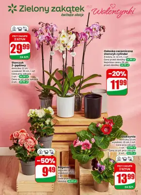 Dino - gazetka promocyjna Gazetka 07 / 2026 od środy 11.02 do wtorku 17.02 - strona 17