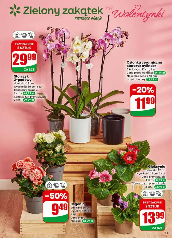 Dino - gazetka promocyjna Gazetka 07 / 2026 od środy 11.02 do wtorku 17.02 - strona 17