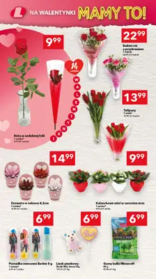 LEWIATAN - gazetka promocyjna Mamy TO w Lewiatanie – Opole od czwartku 12.02 do środy 18.02 - strona 10