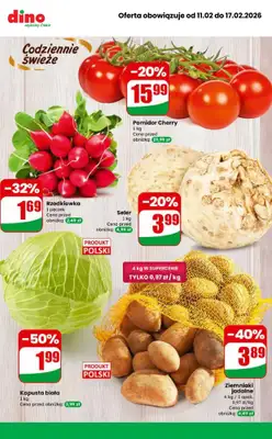 Dino - gazetka promocyjna MEGA promocje! od środy 11.02 do wtorku 17.02 - strona 9