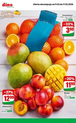 Dino - gazetka promocyjna MEGA promocje! od środy 11.02 do wtorku 17.02 - strona 8