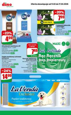Dino - gazetka promocyjna MEGA promocje! od środy 11.02 do wtorku 17.02 - strona 10
