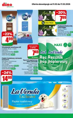 Dino - gazetka promocyjna MEGA promocje! od środy 11.02 do wtorku 17.02 - strona 10