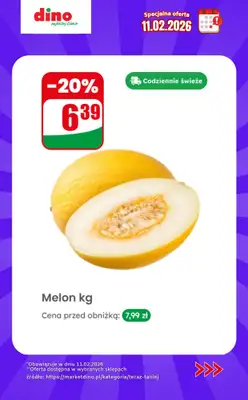 Dino - gazetka promocyjna Specjalna oferta na 11.02.2026 - promocje spoza gazetki od środy 11.02 do środy 11.02 - strona 2