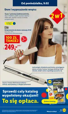 Lidl - gazetka promocyjna Oferta od poniedziałku od poniedziałku 09.02 do środy 11.02 - strona 13