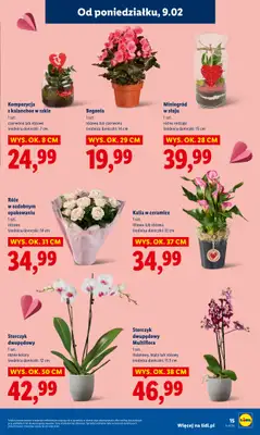 Lidl - gazetka promocyjna Oferta od poniedziałku od poniedziałku 09.02 do środy 11.02 - strona 15