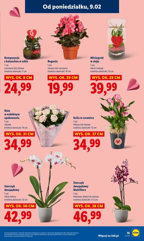 Lidl - gazetka promocyjna Oferta od poniedziałku od poniedziałku 09.02 do środy 11.02 - strona 15