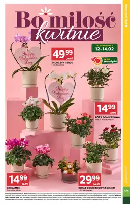 Stokrotka - gazetka promocyjna Gazetka Supermarket od czwartku 12.02 do środy 18.02 - strona 9