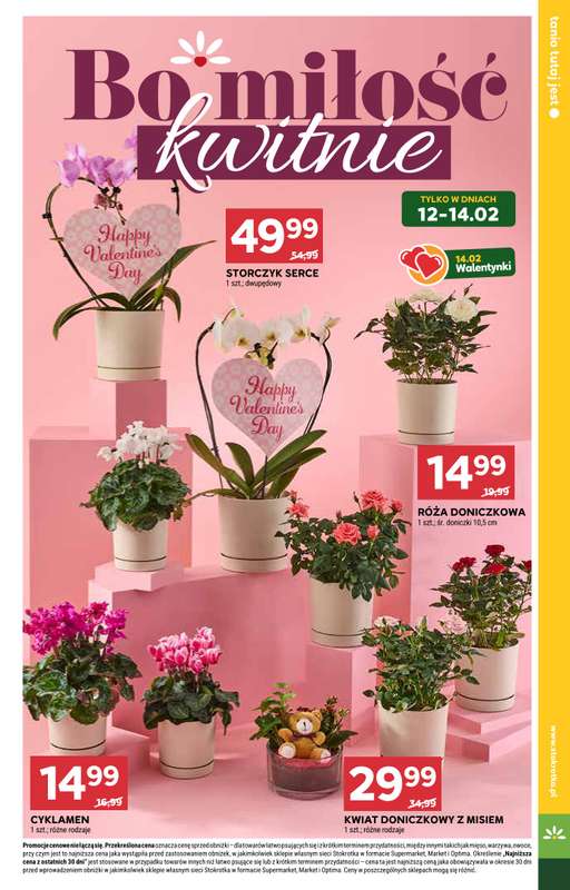 Stokrotka - gazetka promocyjna Gazetka Supermarket od czwartku 12.02 do środy 18.02 - strona 9