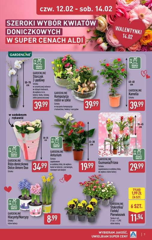 Aldi - gazetka promocyjna Weekend super cen w Aldi! od czwartku 12.02 do soboty 14.02 - strona 7