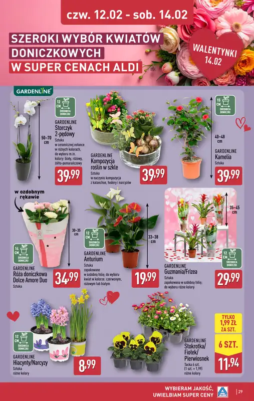 Aldi - gazetka promocyjna Pełny katalog! od poniedziałku 09.02 do soboty 14.02 - strona 29