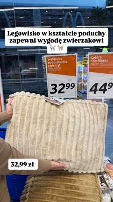 Action - gazetka promocyjna Zakupowe Inspiracje w Action od poniedziałku 16.02  - strona 7