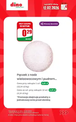 Dino - gazetka promocyjna Specjalna oferta na 12.02.2026 - promocje spoza gazetki od czwartku 12.02 do czwartku 12.02 - strona 2