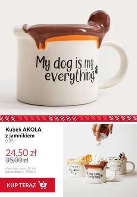 Homla - gazetka promocyjna Akcesoria do kawy i herbaty od czwartku 12.02  - strona 9