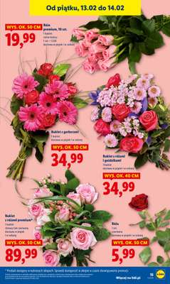 Lidl - gazetka promocyjna Oferta od czwartku od czwartku 12.02 do soboty 14.02 - strona 15