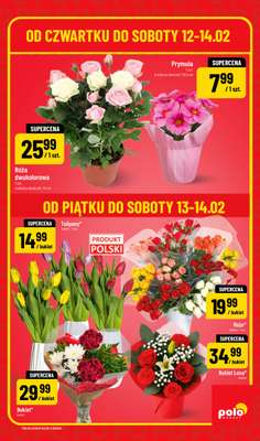 POLOmarket - gazetka promocyjna Super hity na weekend od czwartku 12.02 do soboty 14.02 - strona 3