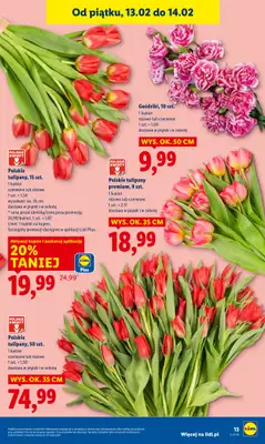 Lidl - gazetka promocyjna Oferta od czwartku od czwartku 12.02 do soboty 14.02 - strona 13