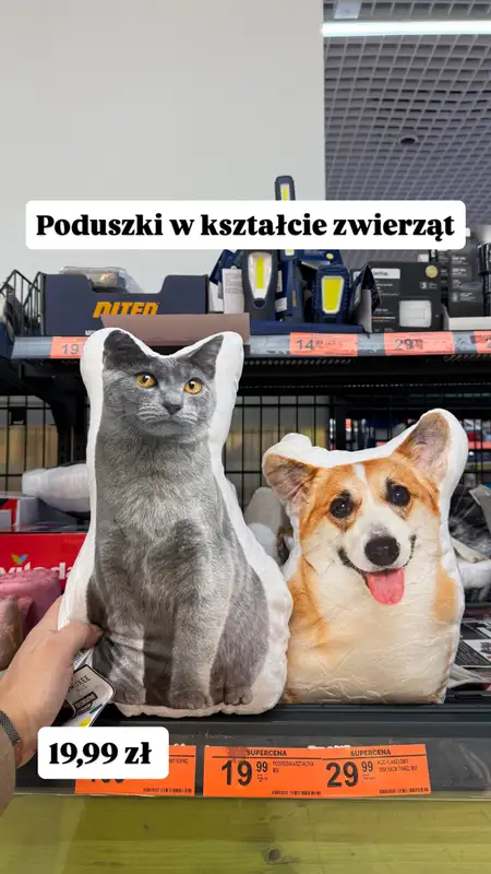 Biedronka - gazetka promocyjna Zakupowe Inspiracje - produkty do domu i dodatki modowe od piątku 13.02  - strona 6