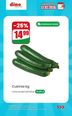 Dino - gazetka promocyjna Specjalna oferta na 13.02.2026 - promocje spoza gazetki od piątku 13.02 do piątku 13.02 - strona 3