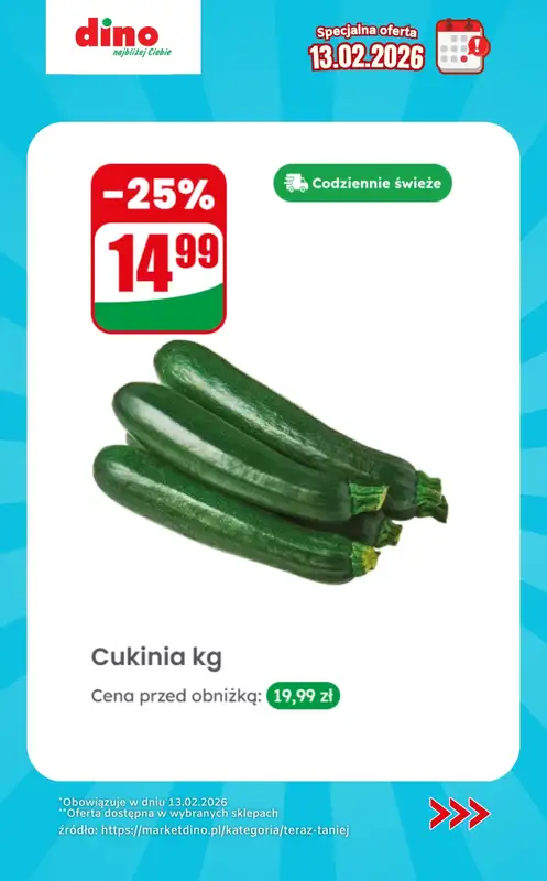 Dino - gazetka promocyjna Specjalna oferta na 13.02.2026 - promocje spoza gazetki od piątku 13.02 do piątku 13.02 - strona 3