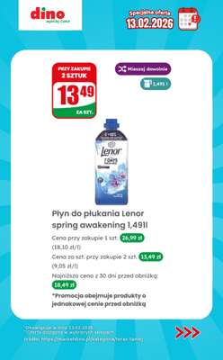Dino - gazetka promocyjna Specjalna oferta na 13.02.2026 - promocje spoza gazetki od piątku 13.02 do piątku 13.02 - strona 9