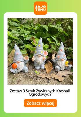 Temu - gazetka promocyjna Porządki w ogrodzie od piątku 13.02  - strona 9