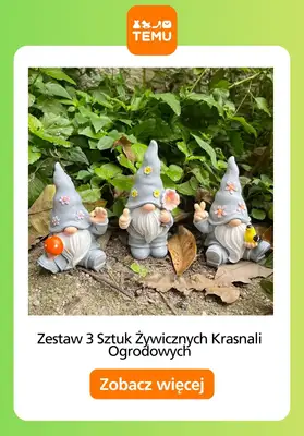 Temu - gazetka promocyjna Porządki w ogrodzie od piątku 13.02  - strona 9
