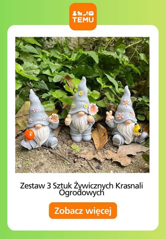 Temu - gazetka promocyjna Porządki w ogrodzie od piątku 13.02  - strona 9
