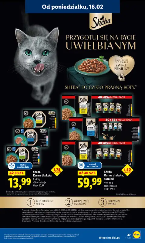 Lidl - gazetka promocyjna Oferta od poniedziałku od poniedziałku 16.02 do środy 18.02 - strona 47