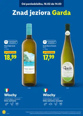 Lidl - gazetka promocyjna Karta Win od poniedziałku 16.02 do soboty 14.03 - strona 16