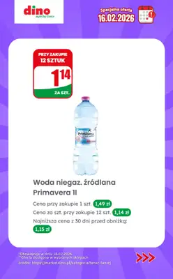 Dino - gazetka promocyjna Specjalna oferta na 16.02.2026 - promocje spoza gazetki od poniedziałku 16.02 do poniedziałku 16.02 - strona 10