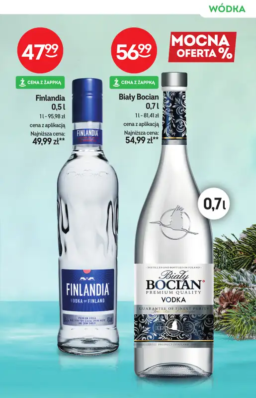 Żabka - gazetka promocyjna Katalog alkoholi od środy 18.02 do wtorku 03.03 - strona 13