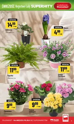POLOmarket - gazetka promocyjna Gazetka od środy 18.02 do wtorku 24.02 - strona 9