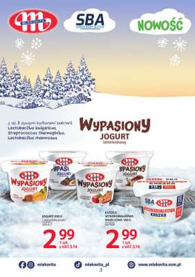 Selgros - gazetka promocyjna Katalog Markowe Produkty od czwartku 19.02 do środy 04.03 - strona 3