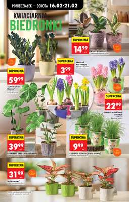Biedronka - gazetka promocyjna Od poniedziałku od poniedziałku 16.02 do niedzieli 22.02 - strona 28
