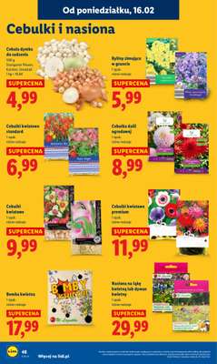 Lidl - gazetka promocyjna Oferta od poniedziałku od poniedziałku 16.02 do środy 18.02 - strona 48