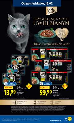Lidl - gazetka promocyjna Oferta od poniedziałku od poniedziałku 16.02 do środy 18.02 - strona 47